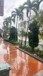 Tanjong Pagar Conservation Area (D2), Shop House #563737871